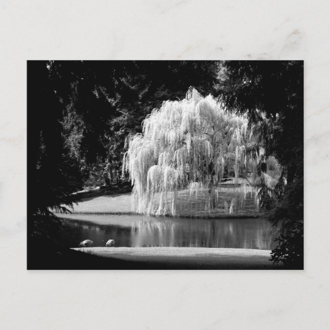 Bloedel Reserve Vykort (Framsida)