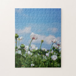 Bloeiend Papaver somneferum maanzaad bloemen. Pussel