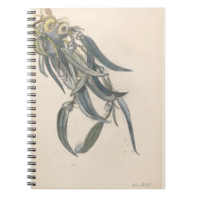 Bloeiende tak van een eucalyptus anteckningsbok (Framsidan)