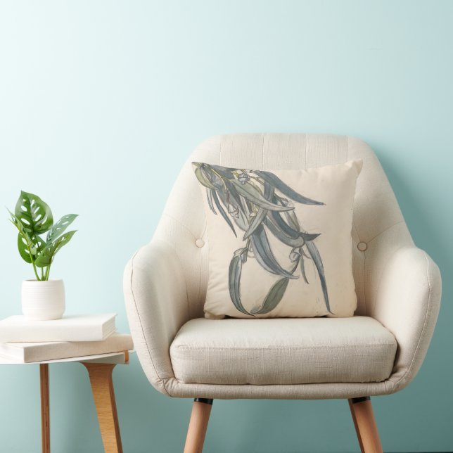Bloeiende tak van een eucalyptus kudde (Stol)