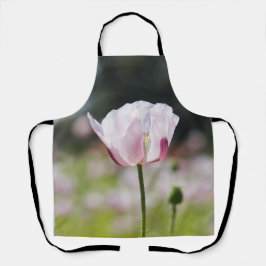 Bloemen veld met close up bloeiende lila bloem.