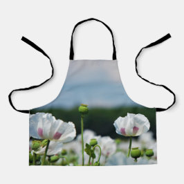 Bloemen veld, Papaver somneferum maanzaad bloem.