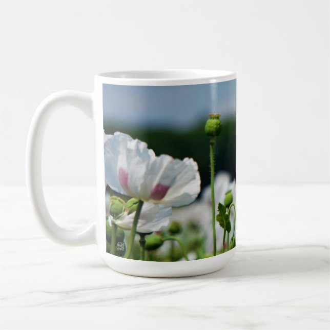 Bloemen veld, Papaver somneferum maanzaad bloem. Kaffemugg (Vänster)