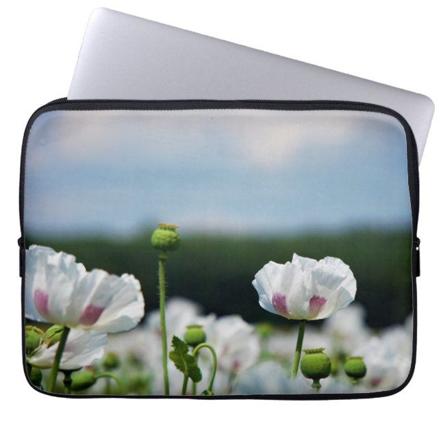 Bloemen veld, Papaver somneferum maanzaad bloem. Laptop Fodral (Framsidan)