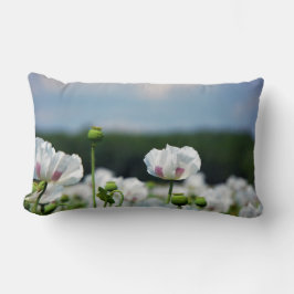 Bloemen veld, Papaver somneferum maanzaad bloem. Lumbarkudde