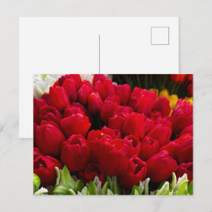 Bloemenmarkt Blommor Vykort