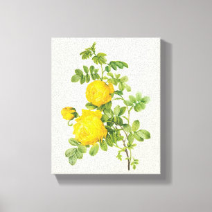 Blom- blommor för vintage, gul ros vid Redoute Canvastryck