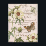 Blom- botanisk vykort för vintage<br><div class="desc">Blom- botanisk vykort för vintage</div>