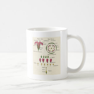 Blom- diagram kaffemugg