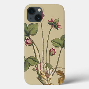 Blom- fodral för blommabotanisk trädgårdiPhone 6