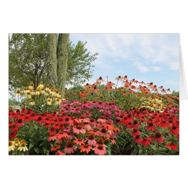 Blom- fred hälsningskort (Framsidan Horizontal)