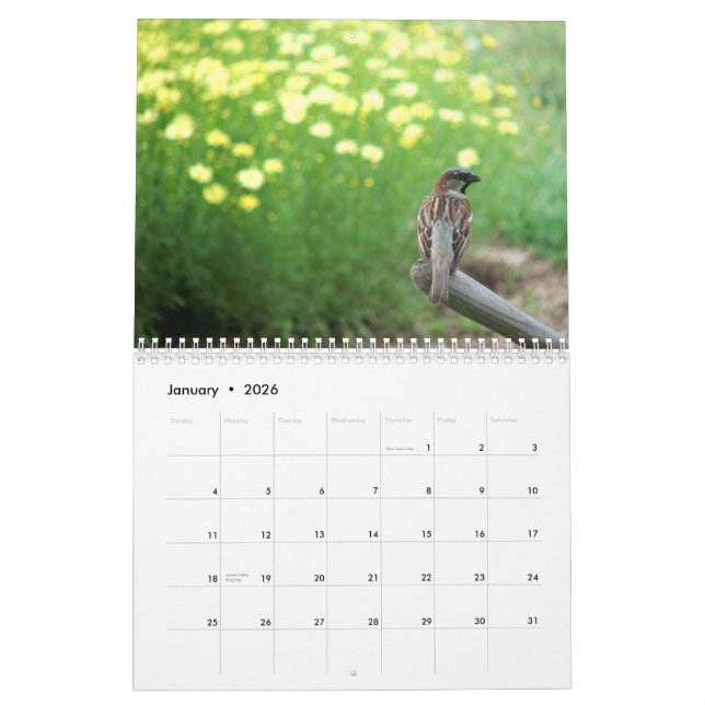 Blom- kalender 2013: Välkomnande till min trädgård (Jan 2026)