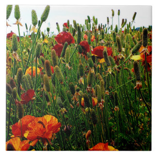 Blom- keramiska belägger med tegel: Blommafält, Kakelplatta