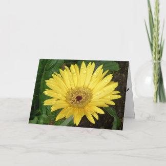 Blom- mors dagkort kort