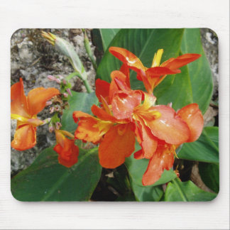 Blom- Mousepad Musmatta