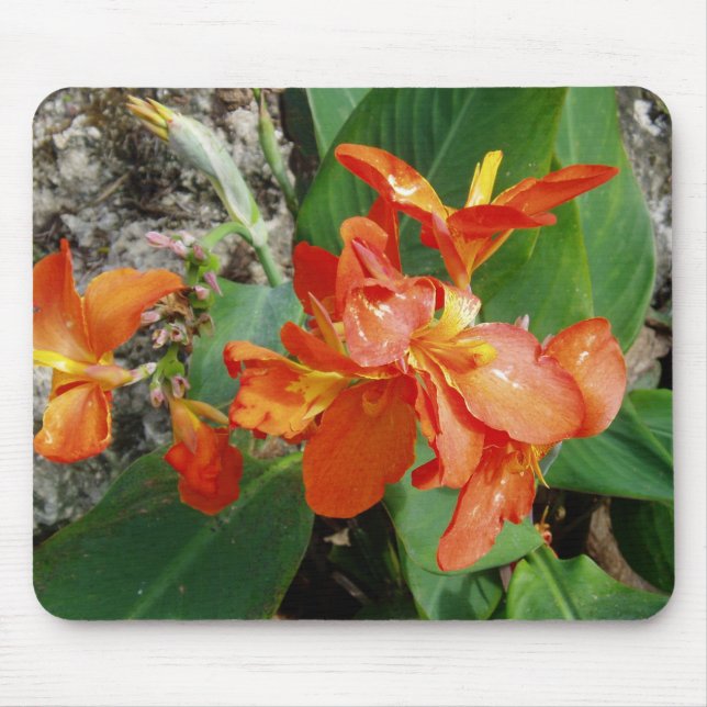 Blom- Mousepad Musmatta (Framsidan)