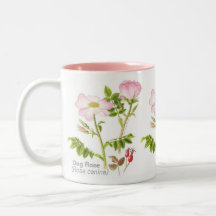 Blom- mugg för klassiker - hunden steg