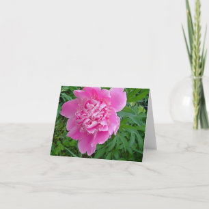 blom- notecardsamling för rosa peonie kort