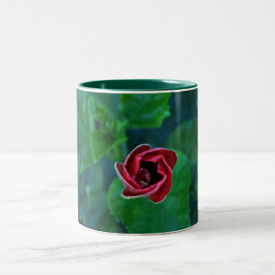 Blom- ny röd hibiskus Två-Tonad mugg