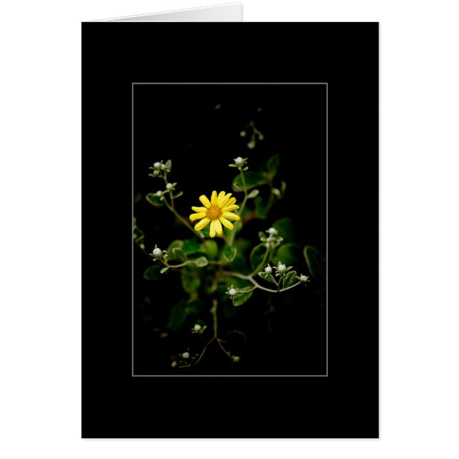 Blom och knoppar hälsningskort (Framsidan)