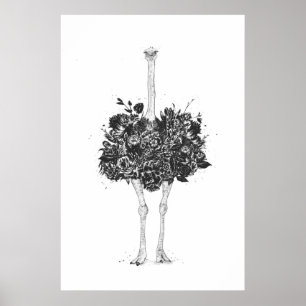Blom- ostrich poster