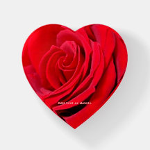 Blom- röd rosPaperweight