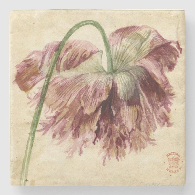 Blom- stenkustfartyg för vintage stenunderlägg (Framsidan)