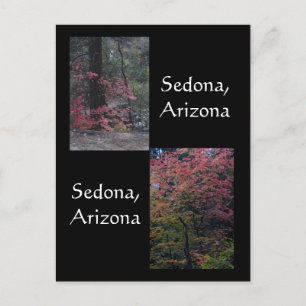 Blomad löv,Sedona Arizona Vykort