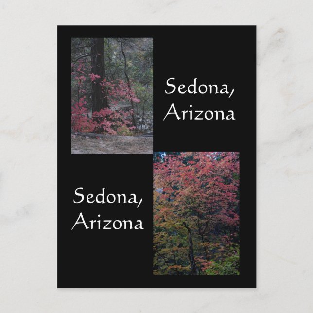 Blomad löv,Sedona Arizona Vykort (Framsida)