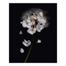 BlomÄlvor 1