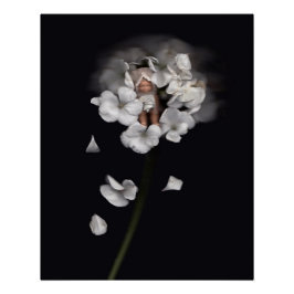 BlomÄlvor 1 Perfect Poster