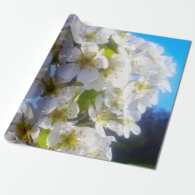 Blomande gren av päron presentpapper (Utrullad)