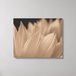 Blombenen i Sepia Tone Canvas