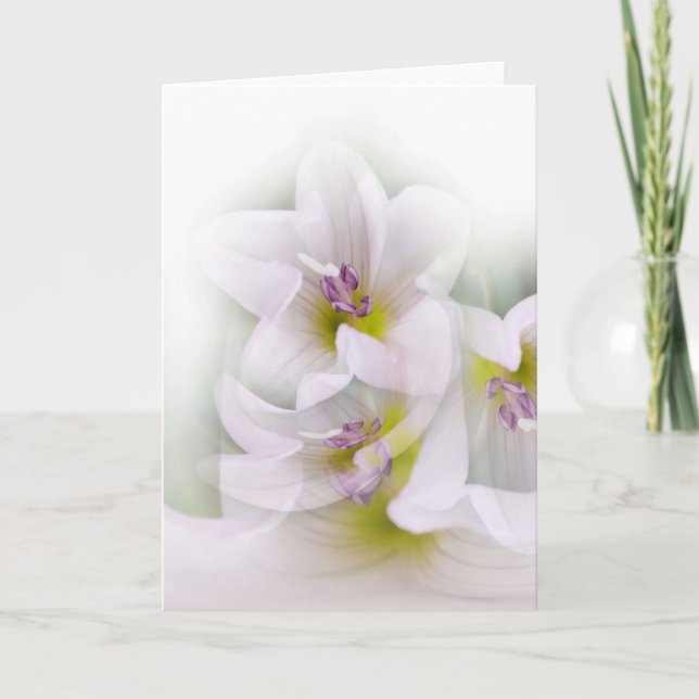 blomdans kort (Framsida)