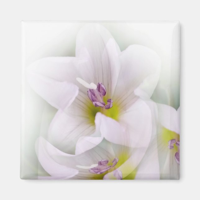 blomdans magnet (Framsidan)