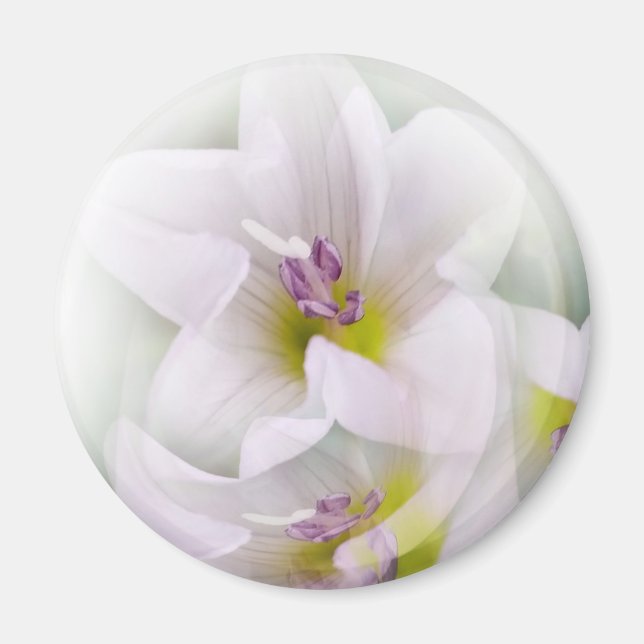 blomdans magnet (Framsidan)
