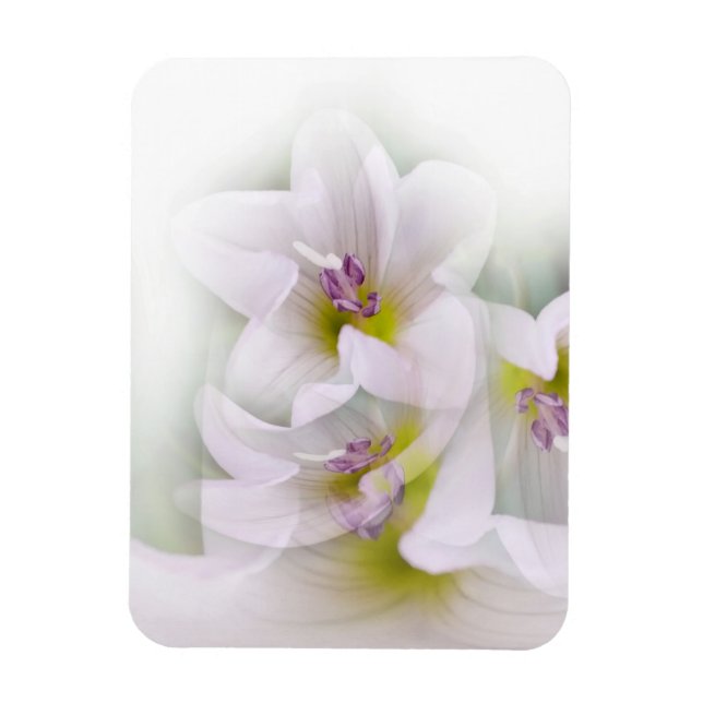 blomdans magnet (Vertikal)