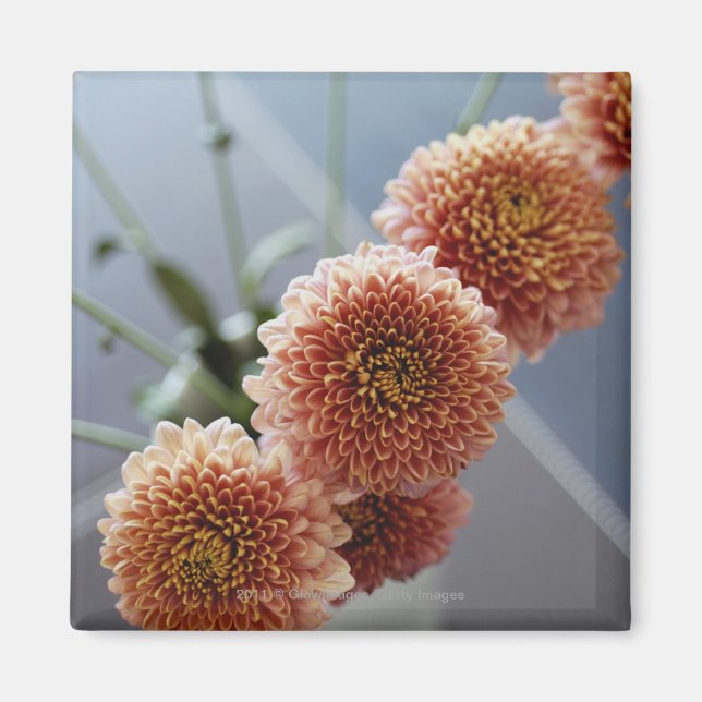 Blomens vinkla överblick i vas magnet (Framsidan)