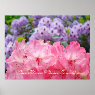 Blomflüstra Vänskaps konsttryck Rosa Rhodies Poster