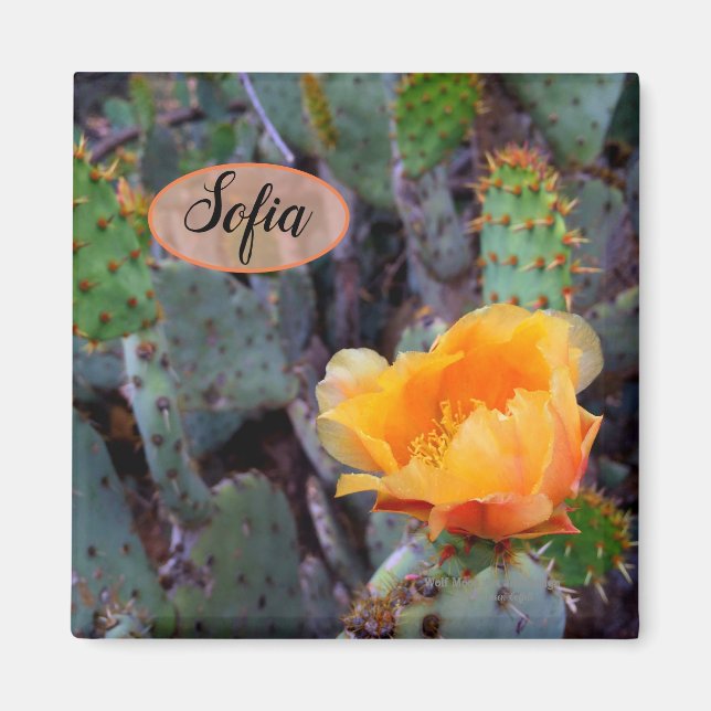 Blomfoto av orange, prickly pear opuntia cactus magnet (Framsidan)
