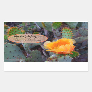 Blomfoto av orange, prickly pear opuntia cactus rektangulärt klistermärke