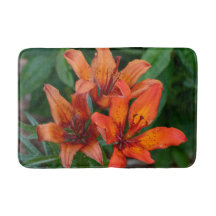 Blomfoto, Orange Day Lily