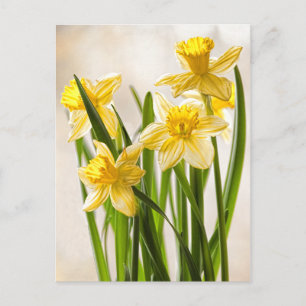 Blomfotografering: gula vårnarzisser vykort
