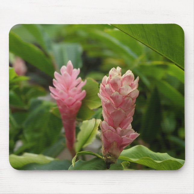 Blomfotografering Musmatta (Framsidan)