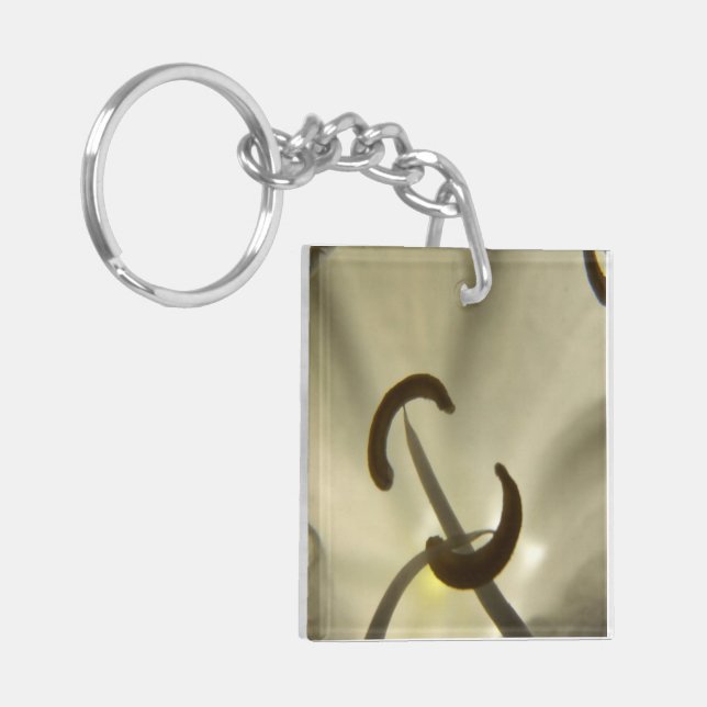 Blomfröer (Vänstra Framsidan)