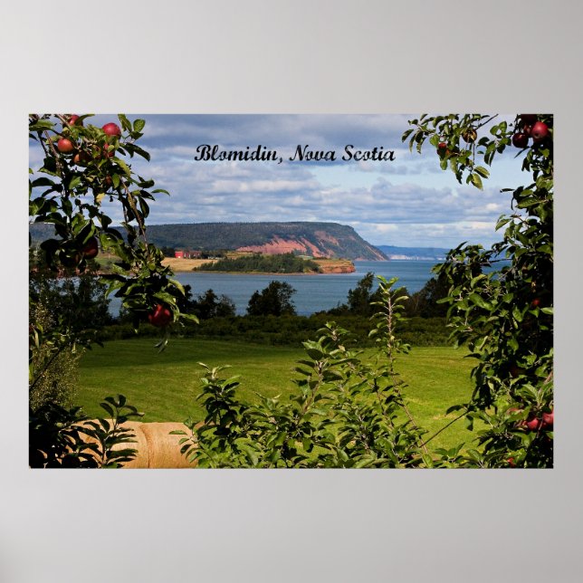 Blomidin, Nova Scotia, Kanada Poster (Framsidan)