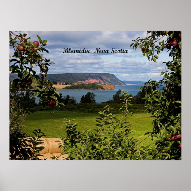 Blomidin, Nova Scotia, Kanada Poster (Framsidan)