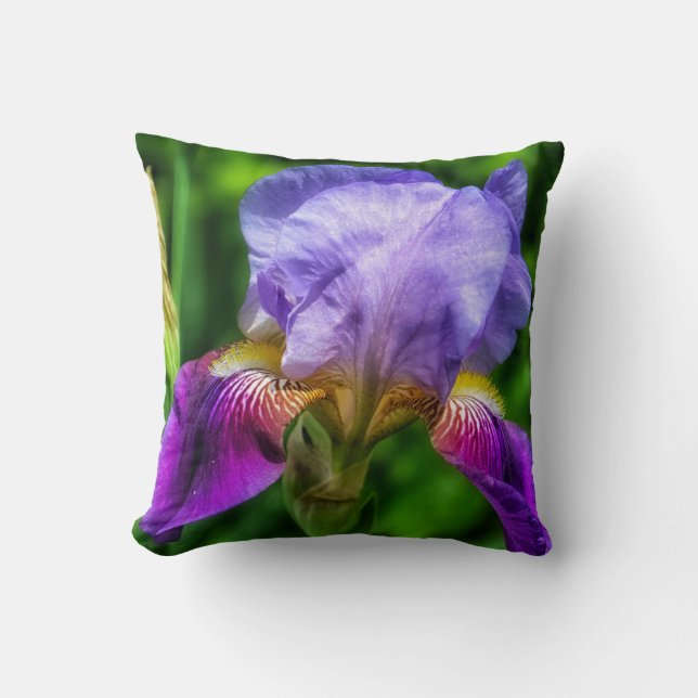 Blomkål av brant lila blue och gult iris kudde (Framsida)