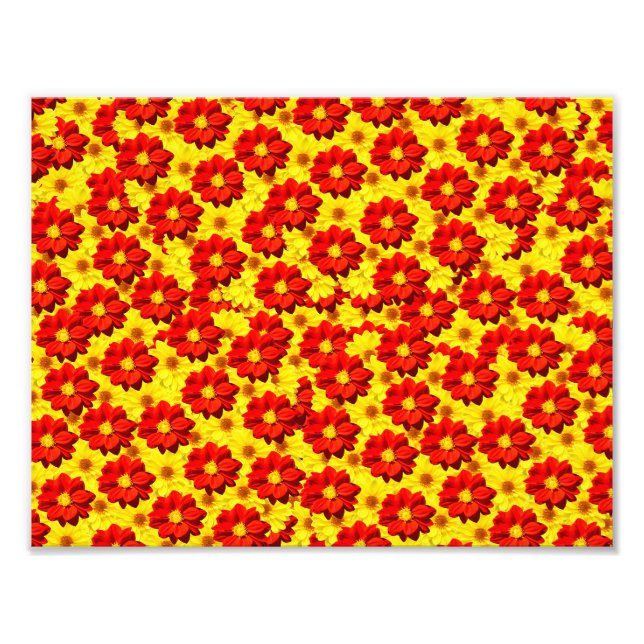 Blomkål av röd och gult fototryck (Framsidan)
