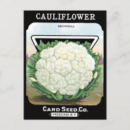 Blomkål Fröförpackning Vitgrönt Garden Vykort